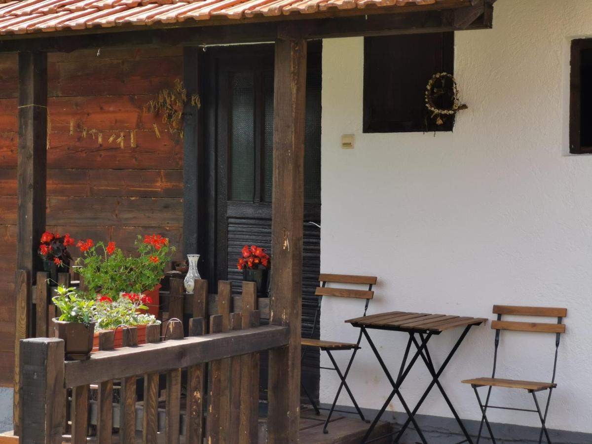 Uvac Griffon Villa Nova Varos Luaran gambar