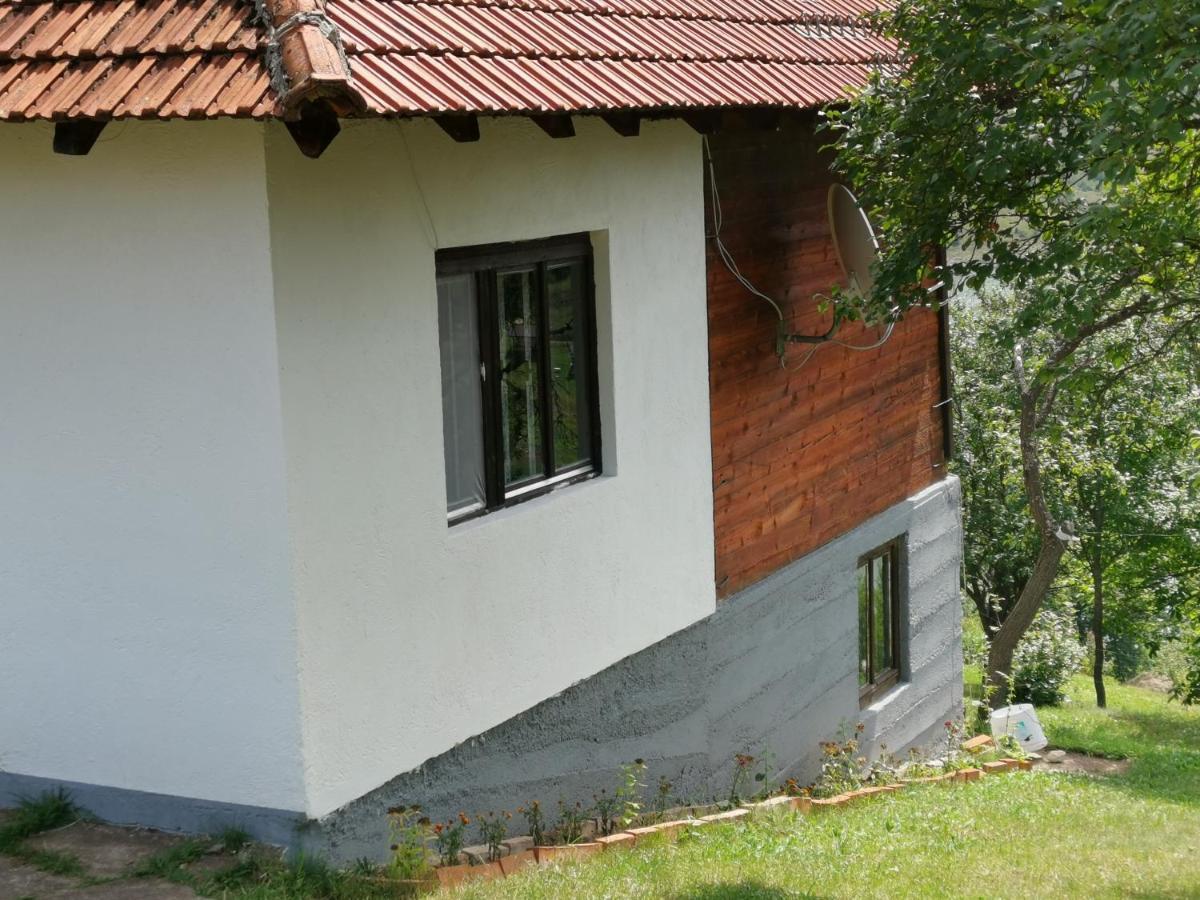 Uvac Griffon Villa Nova Varos Luaran gambar