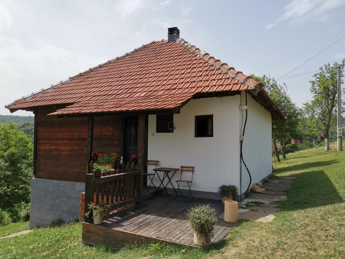 Uvac Griffon Villa Nova Varos Luaran gambar