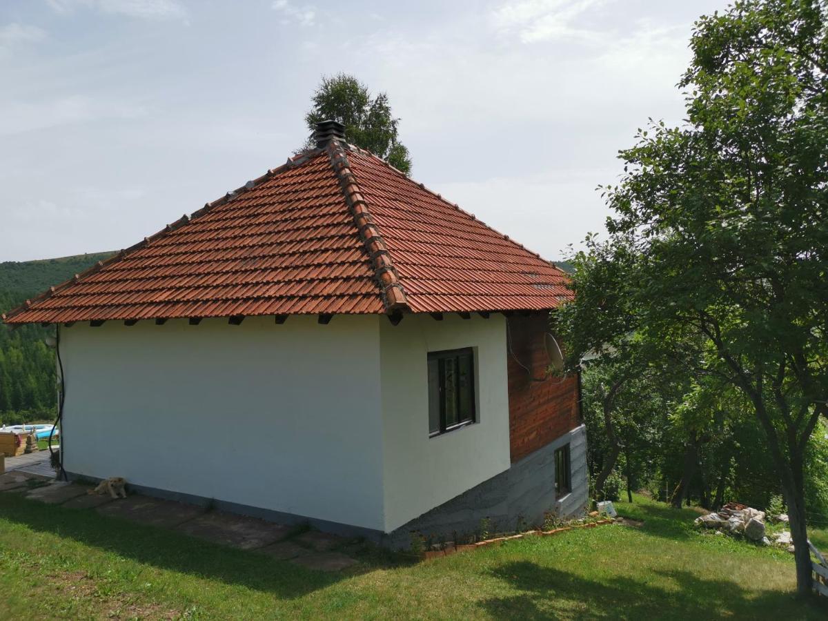 Uvac Griffon Villa Nova Varos Luaran gambar